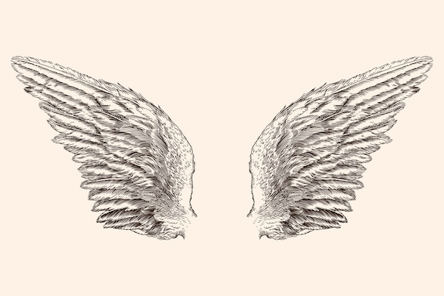 Vector two spread wings of an angel made of feathers isolated on a beige background
