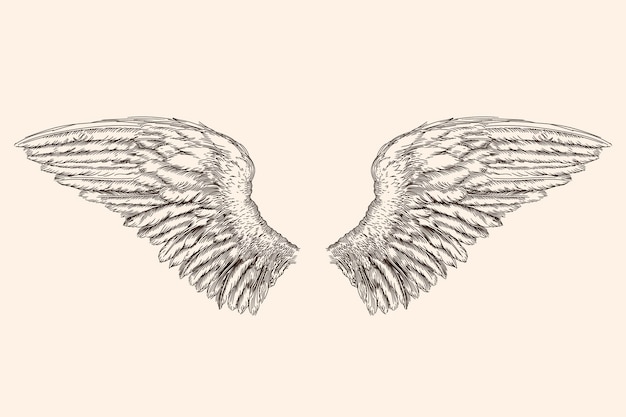 Два раскрытых крыла ангела из перьев, изолированных на бежевом фоне