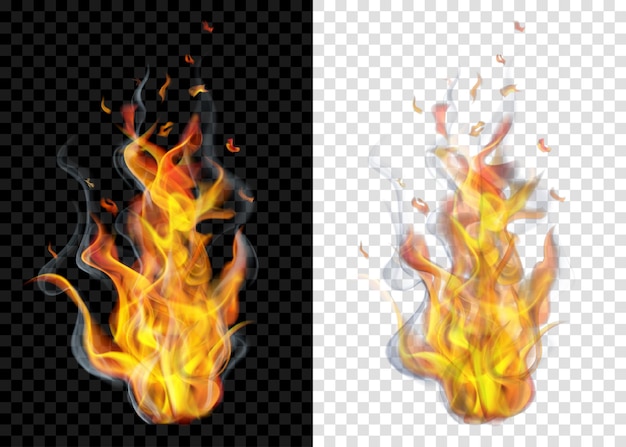 Two translucent burning campfires with smoke on transparent background. for used on light and dark backdrops. transparency only in vector format