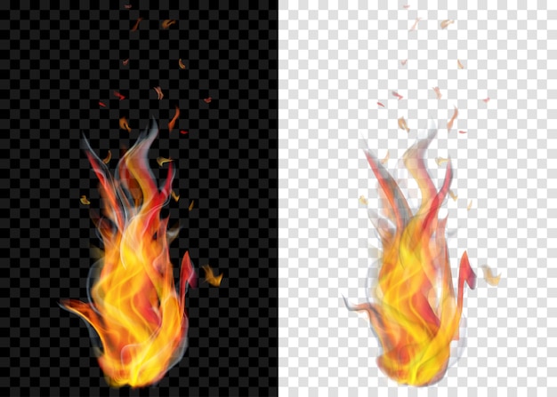 Vector two translucent burning campfires with smoke on transparent background. for used on light and dark backdrops. transparency only in vector format