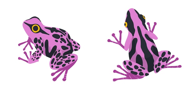 Two tropical frogs set of two hand drawn