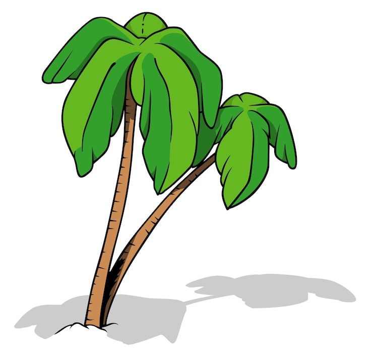Vector two tropical palm trees with cast shadow