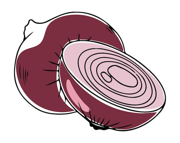 Two vector lineart style red onions whole and halved isolated on white background