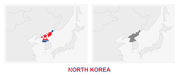 Vettore due versioni della mappa della corea del nord con la bandiera della korea del nord evidenziata in grigio scuro