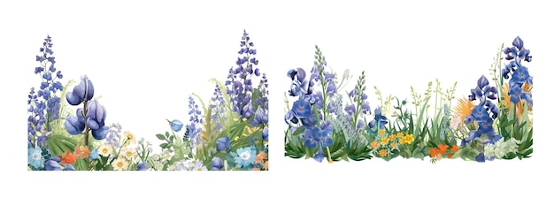 Vector two vibrant illustrations of a lush wildflower meadow with a variety of blooming