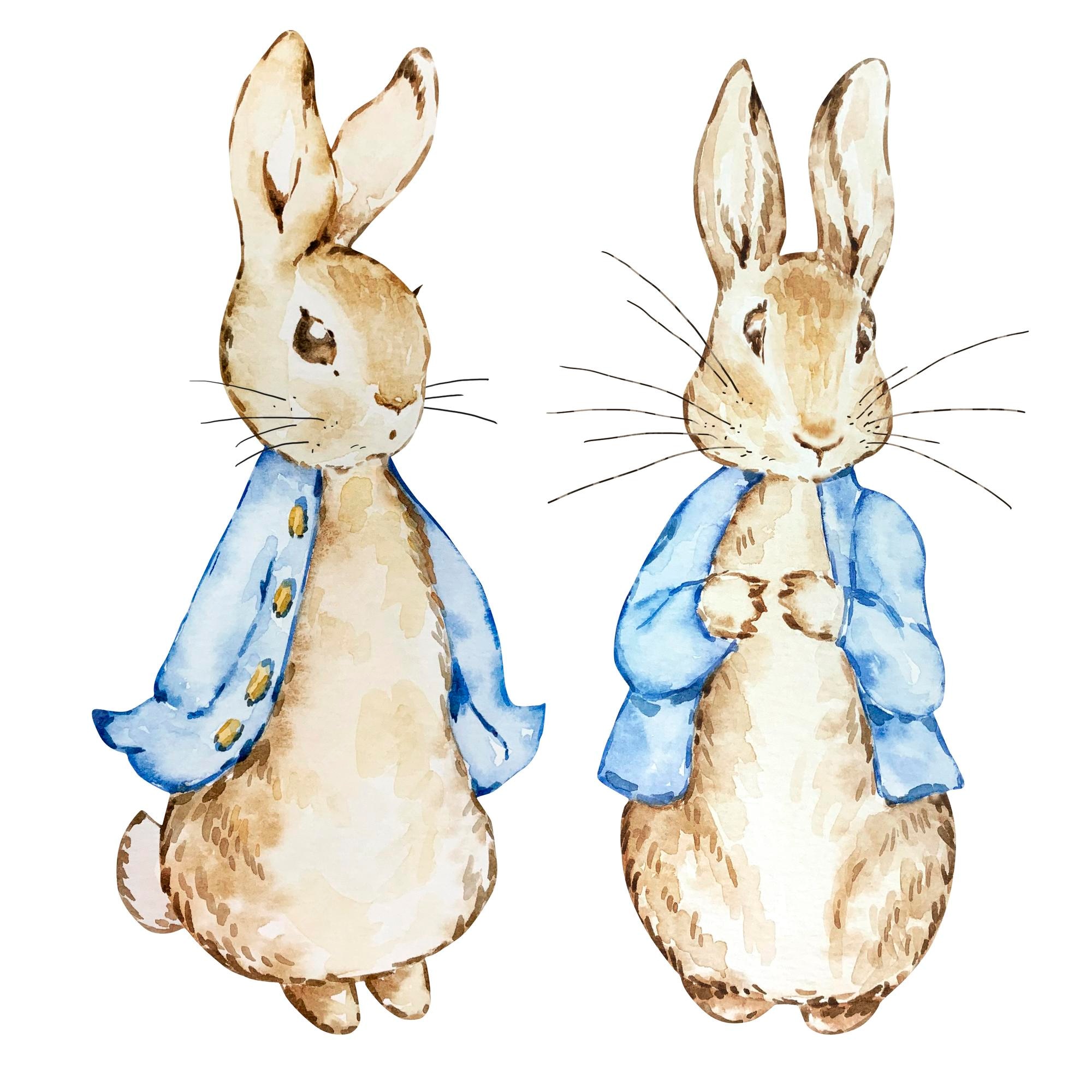 Premium Vector | Two watercolor cute rabbits in a blue jacket Premium Vector | Two watercolor cute rabbits in a blue jacket