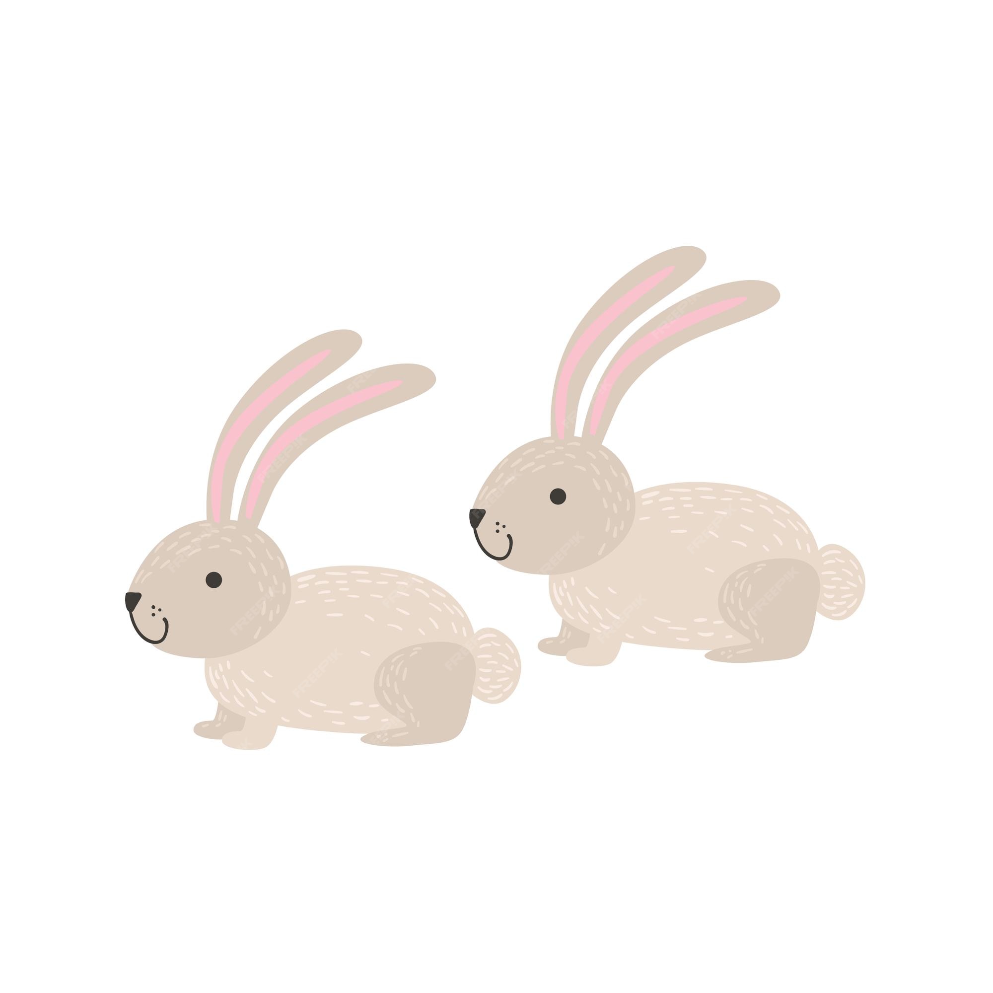 Premium Vector | Two white bunnies sitting Premium Vector | Two white bunnies sitting