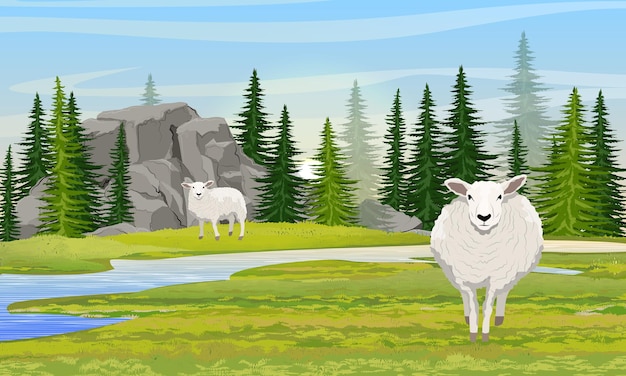 Two white fluffy sheep in a valley with mountains and a river