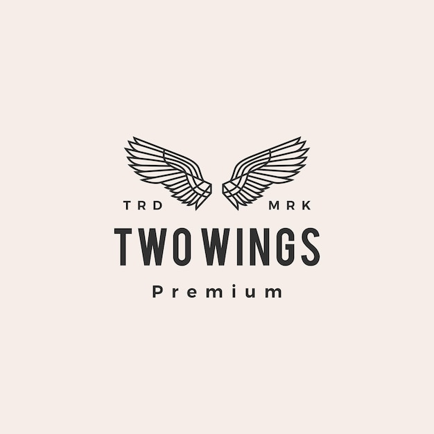 Two wings hipster vintage logo   icon illustration