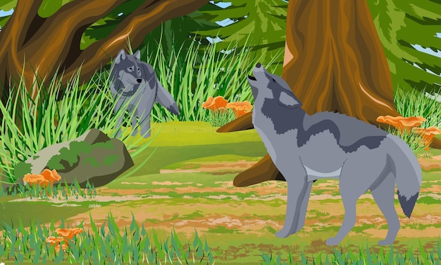 秋の森の2匹のオオカミ霧と木の幹森のキノコアンズタケ石