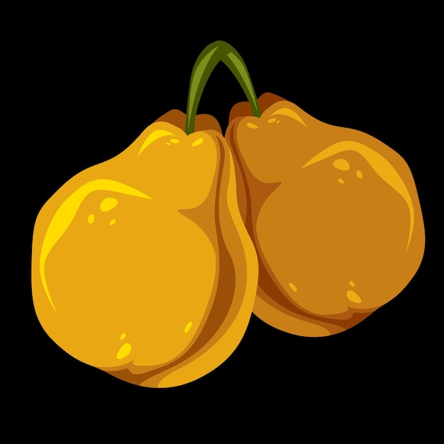 Две желтые простые векторные груши, иллюстрация спелых сладких фруктов. Здоровая и органическая пища, символ сезона сбора урожая.