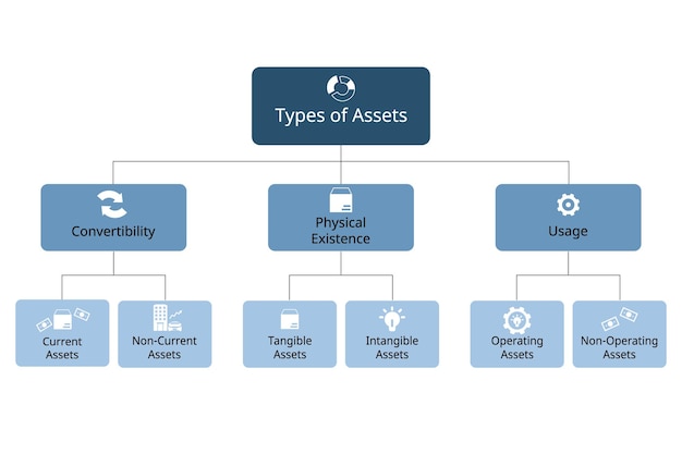 Vector type of assets for convertibility physical existence usage for each assets categories