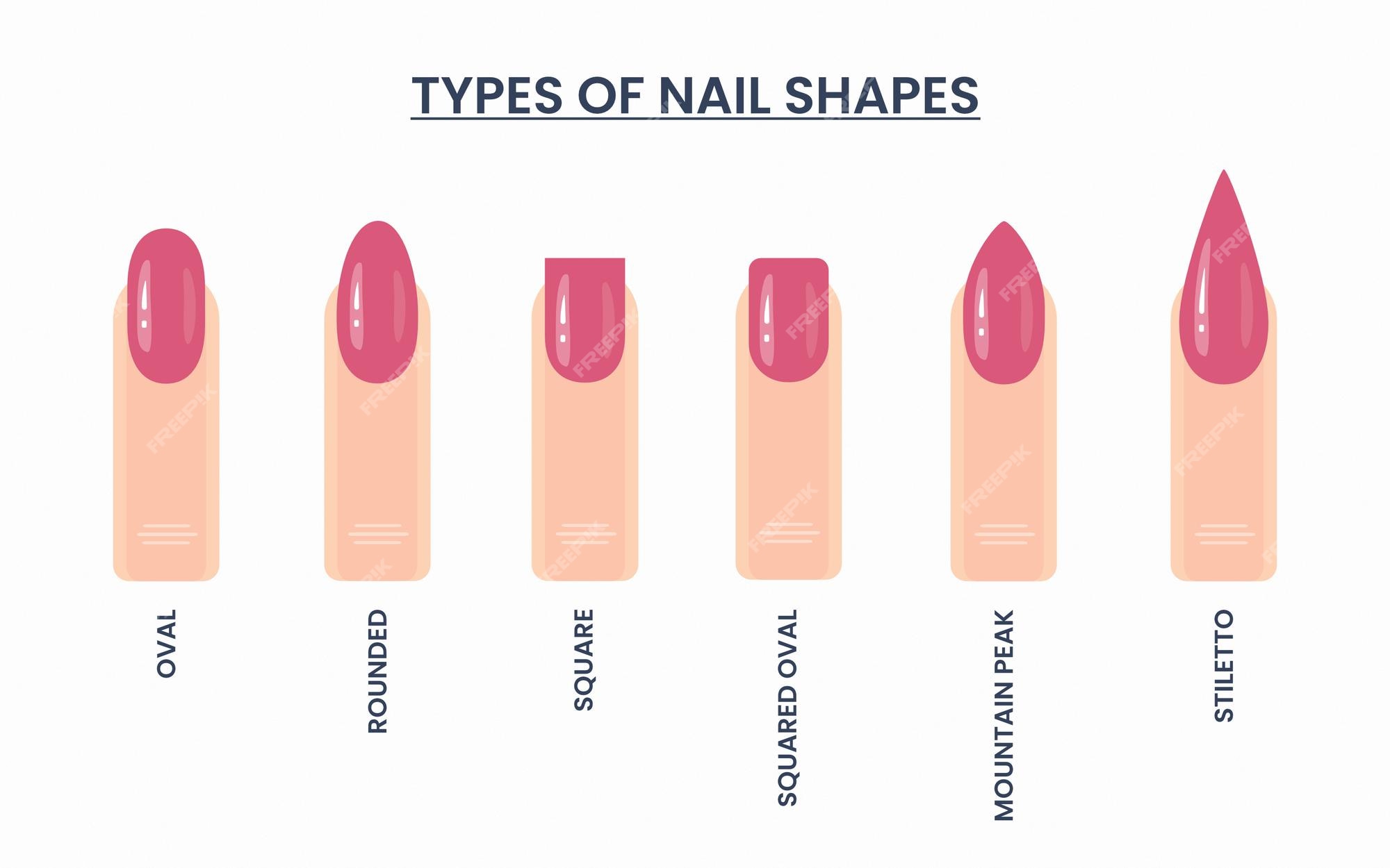 Premium Vector | Type of different shapes of nails vector illustration Premium Vector | Type of different shapes of nails vector illustration