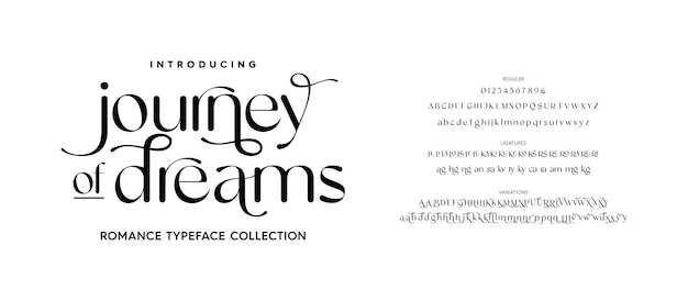 Typeface modern serif fonts Elegant stylish alphabet letters font ligatures alternate and number