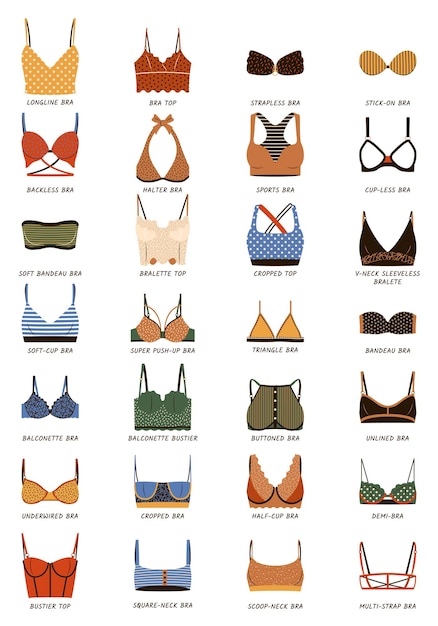 Vector types of bras big vector colorful collection of lingerie set of underwear balconette strapless