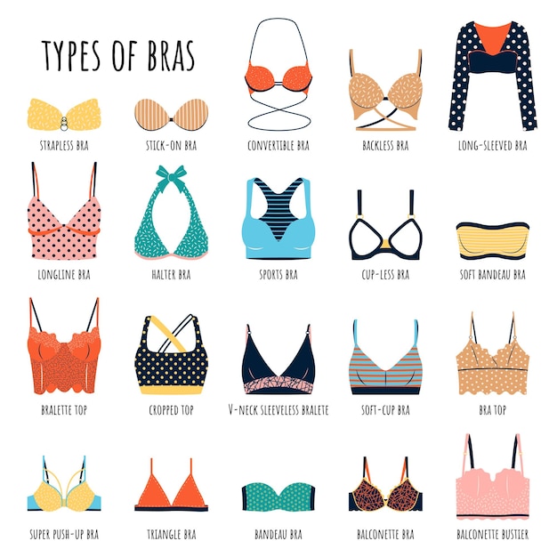 Vector types of bras big vector set of colorful lingerie