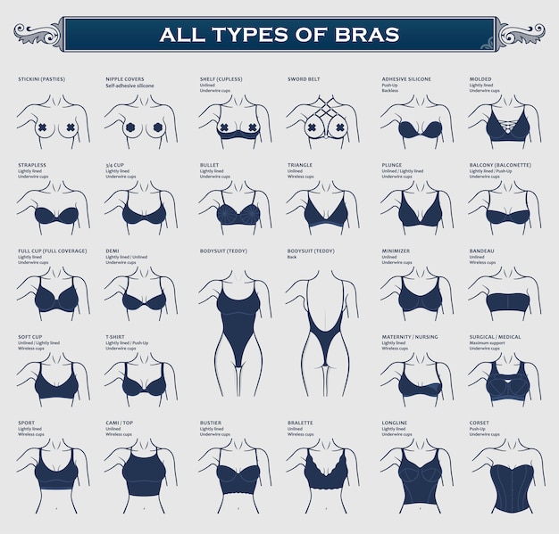 Premium Vector  Types of bras collection lingerie