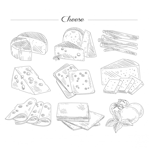 Vettore tipi di formaggio. set disegnato a mano