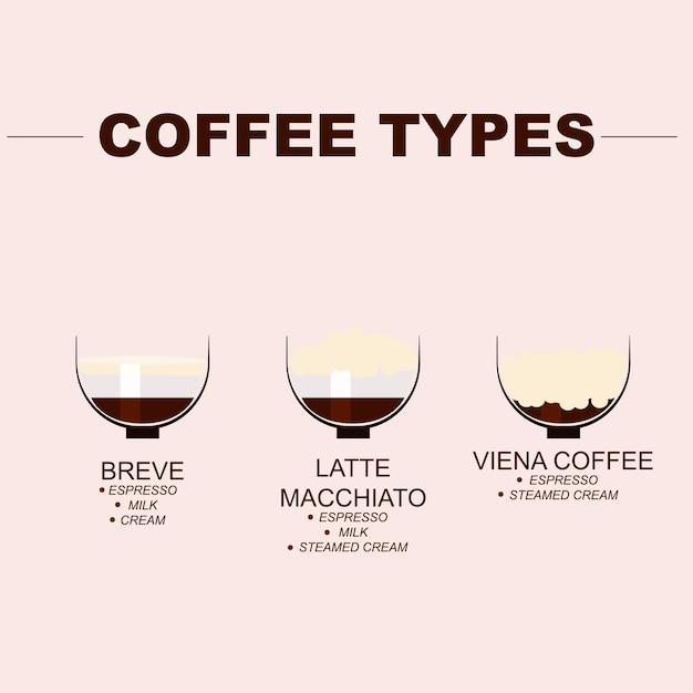 Vector types of coffee infographics with coffee