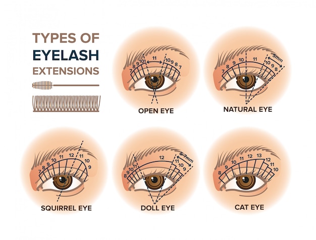 Vector types of eyelash extensions illustration