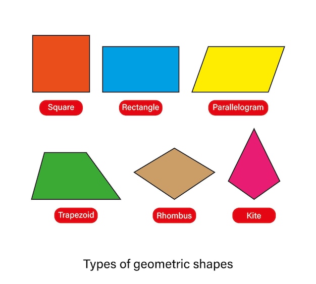 Types of geometric shapes quadrilateral shapes names vector illustration