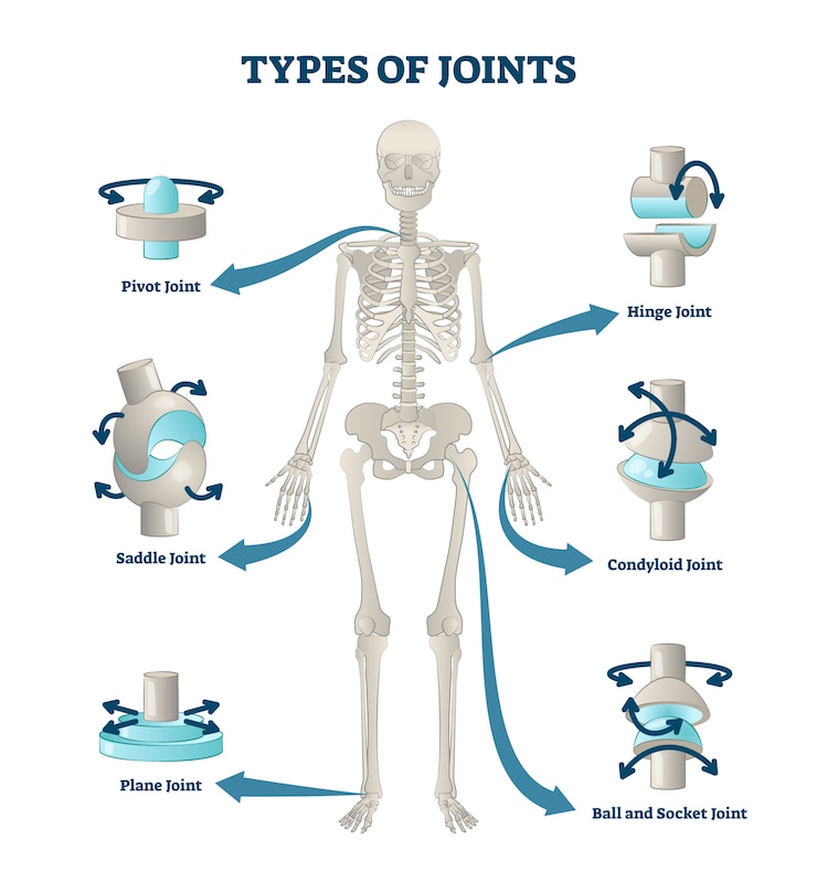 Types of joints illustration