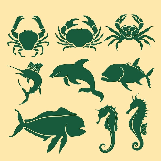 Types of Marine Life Collections