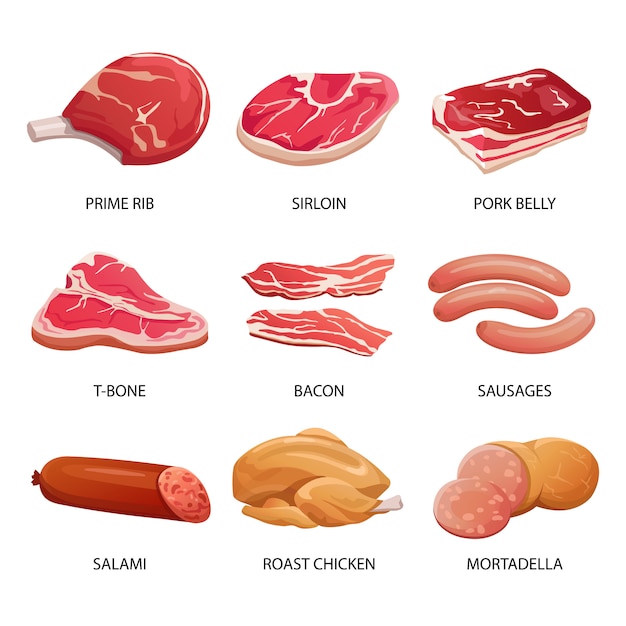 Vector types of meat and meat products  illustration