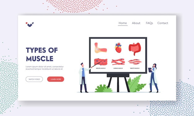 Types of muscles landing page template. tiny doctors characters at huge board with infographics presenting skeletal, cardiac and smooth muscles. medicine, anatomy. cartoon people vector illustration