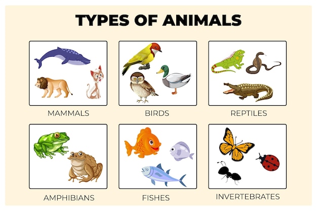 벡터 동물의 종류