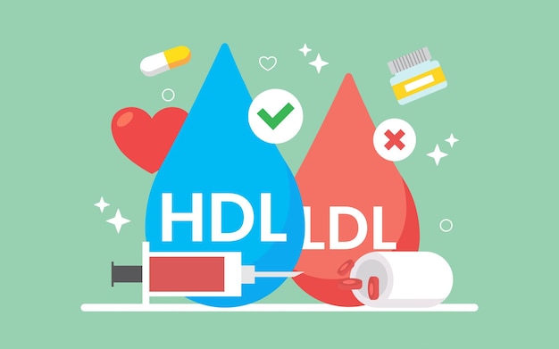 벡터 hdl 및 ldl 지단백질 벡터 일러스트와 콜레스테롤 비교의 유형