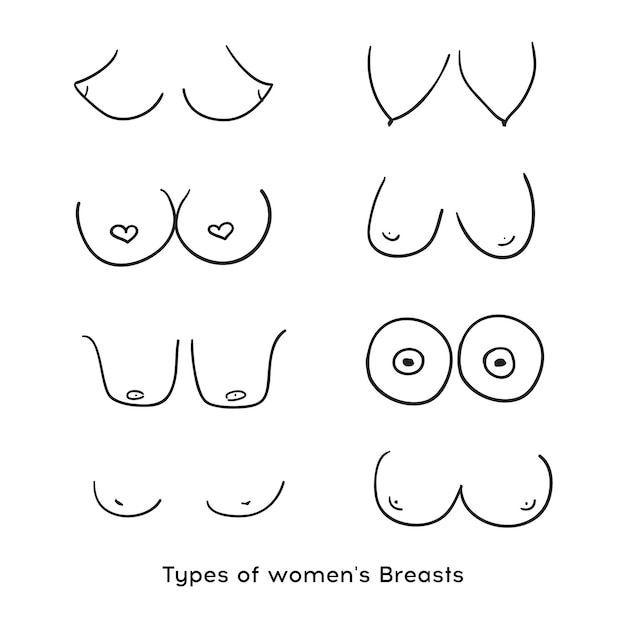 ベクトル 女性の胸の種類 女性の胸のアイコン 胸のアイコン ベクトル