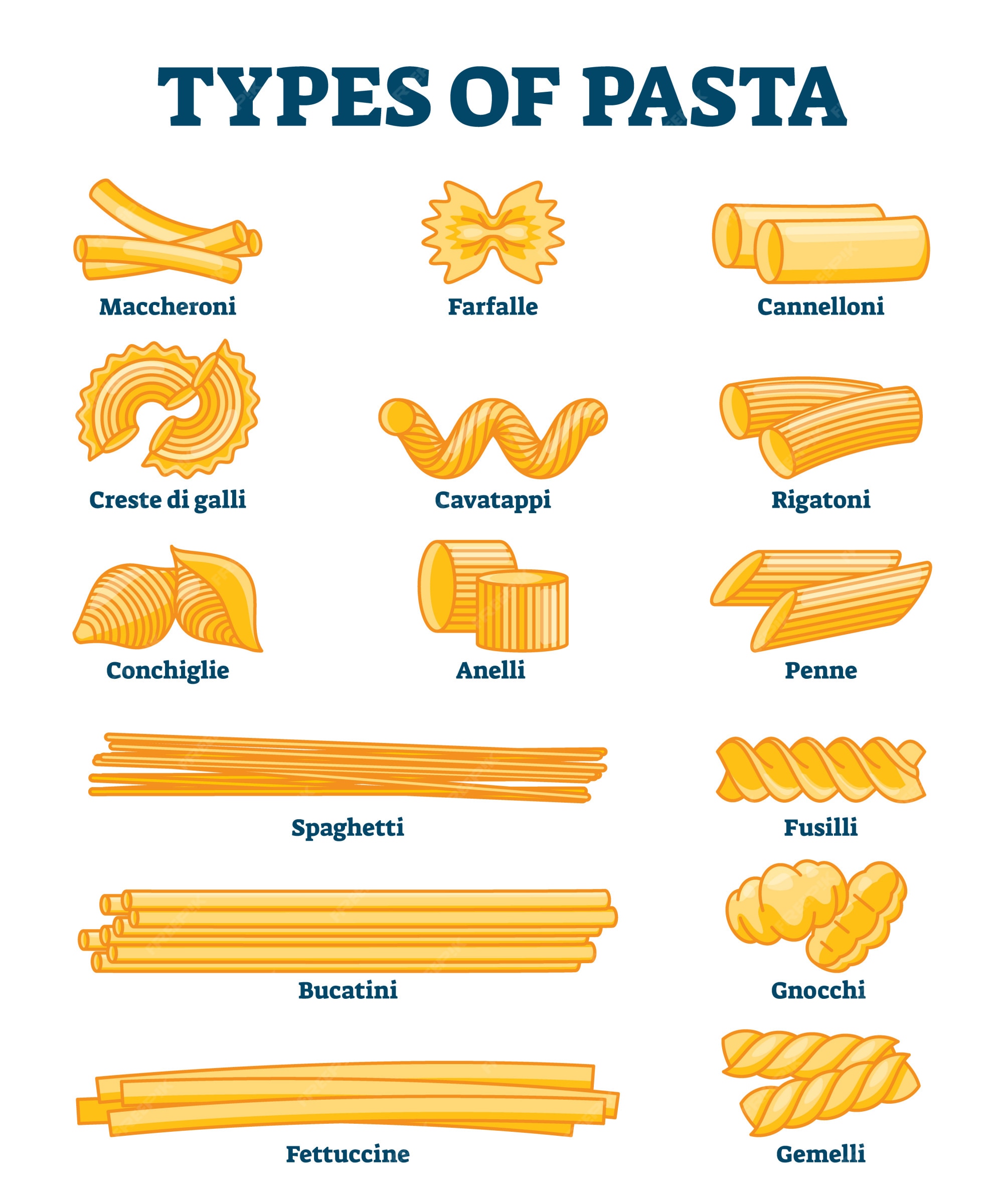 Premium Vector  Types of pasta illustration. labeled italian cuisine shapes  explanation