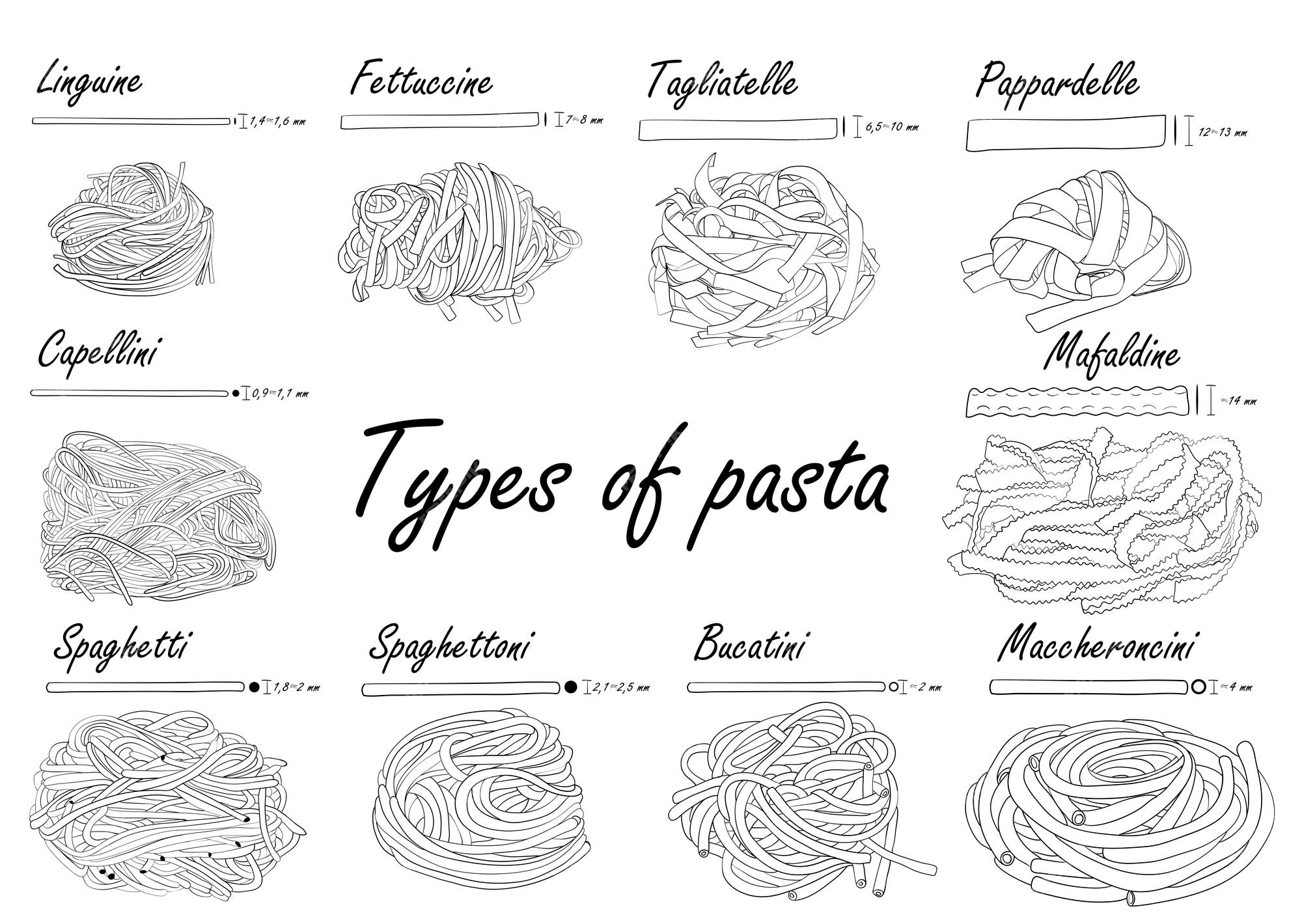 Premium Vector  Types of pasta long pasta difference illustration example