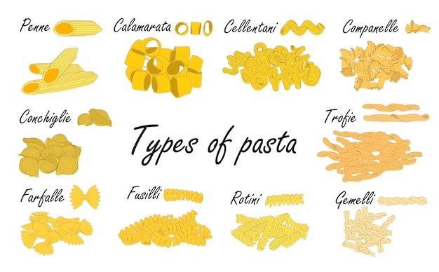 Types of pasta Short pasta difference illustration example with ingredients