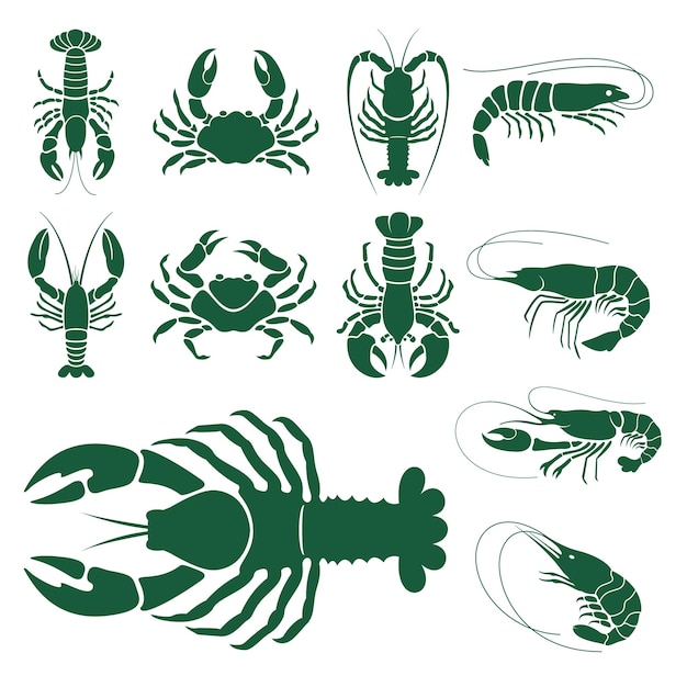 Vector types of sea animals collections