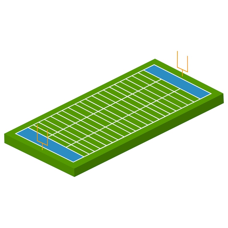 Vector types of sport fields
