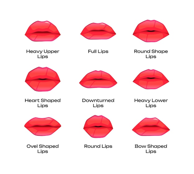 Vector types of woman lips different shapes of female mouth thin full bowshaped downward round heavy cartoon colorful girl sensuality symbols vector set