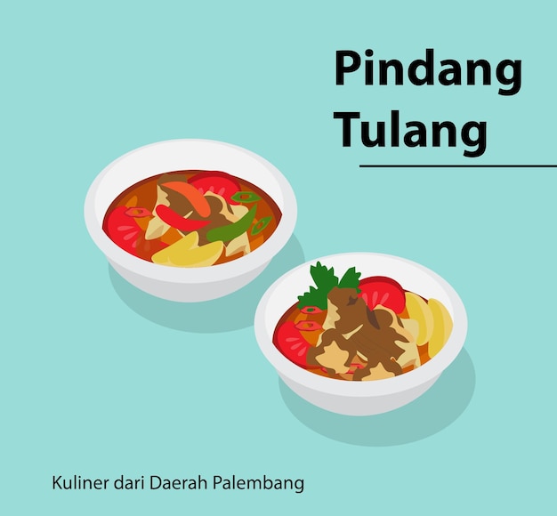 Vector typische culinaire lekkernijen uit de regio palembang