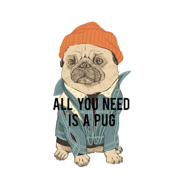 Vector typography graphic print pug in hat. all you is a pug need quote