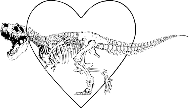Vector tyrannosaurus rex dinosaur skeleton outline