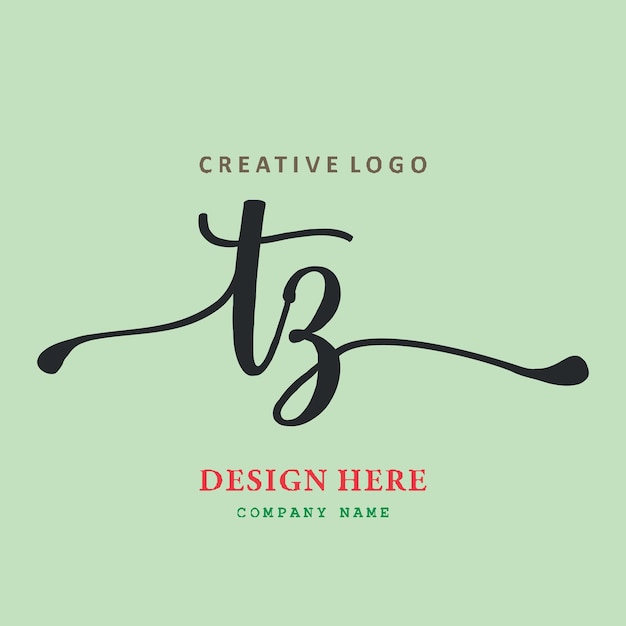 TZ lettering logo is simple easy to understand and authoritative