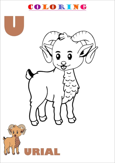 U voor Urial Coloring Art For Kids Sketch Vector