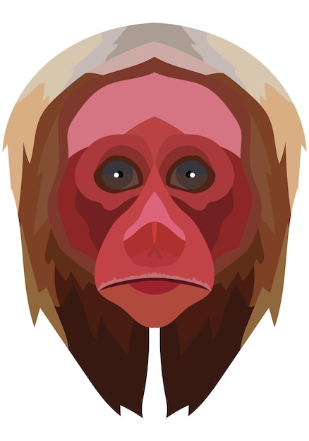 Vector uakari-gezicht de snuit van een cacajao-aap wordt afgebeeld helder portret op een witte achtergrond voorspellend grafisch dierenlogo