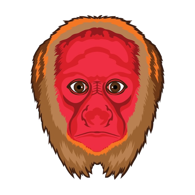 Vector uakari monkey face vector illustration