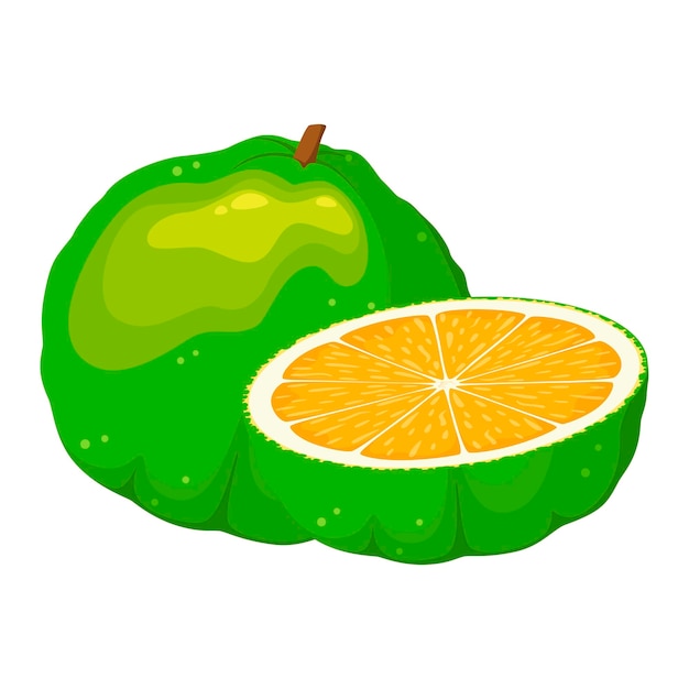 Ugli-fruit op een witte achtergrond. Cartoon ontwerp.