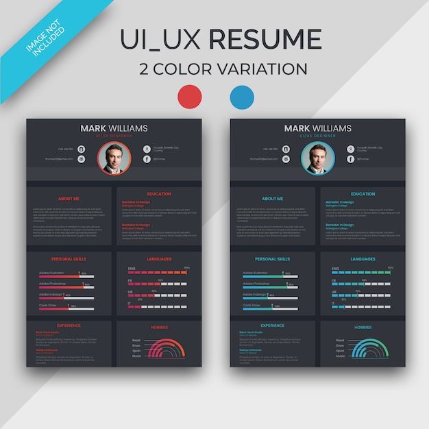 Ui/ux designer resume