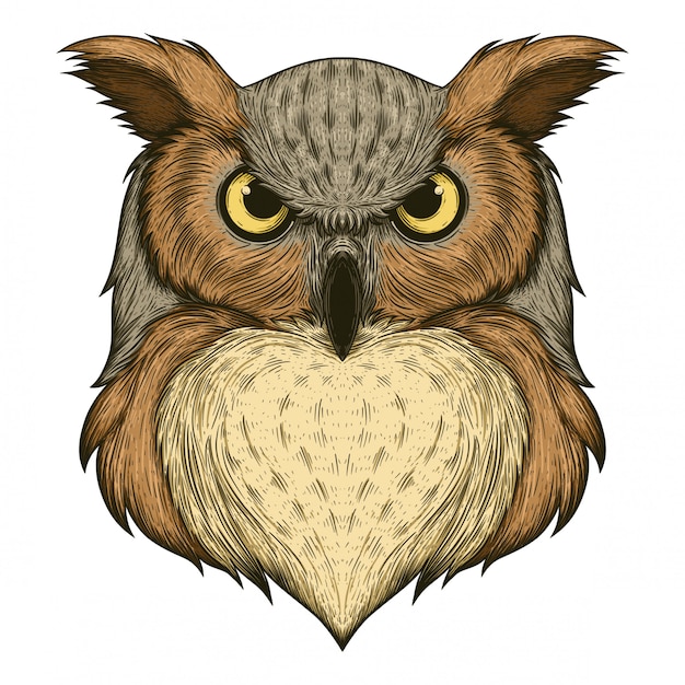 Uil illustratie