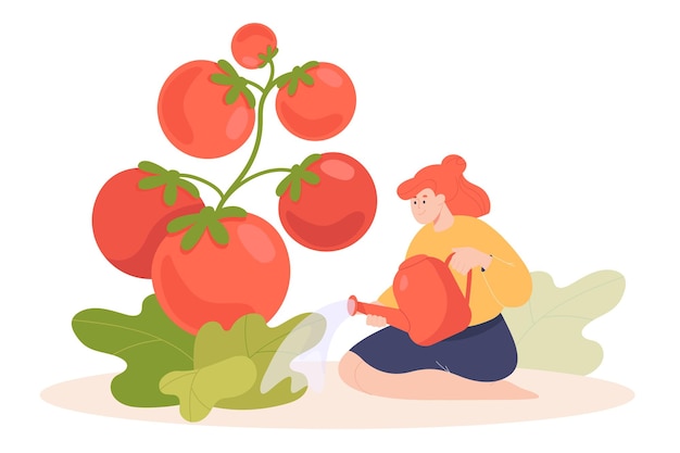 Uiterst kleine beeldverhaalvrouw die reusachtige tomatenplant drenken