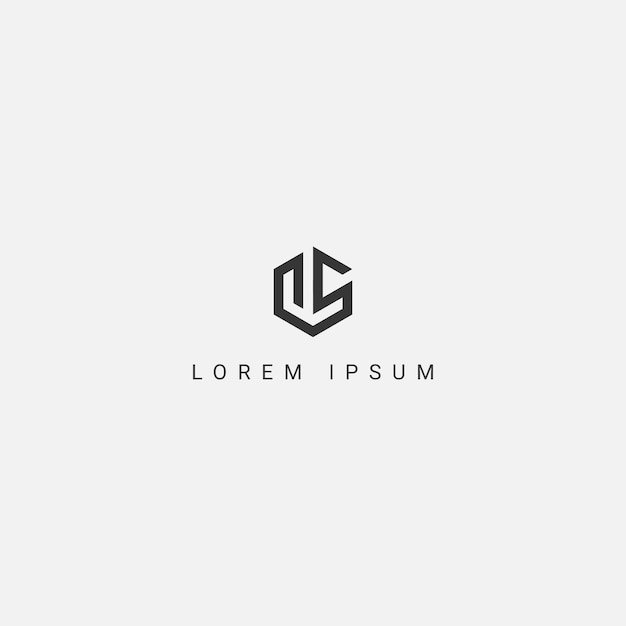 Vector uitstekende professionele letter ls sl logo ontwerp zwart-wit kleur initiële gebaseerd monogram icoon
